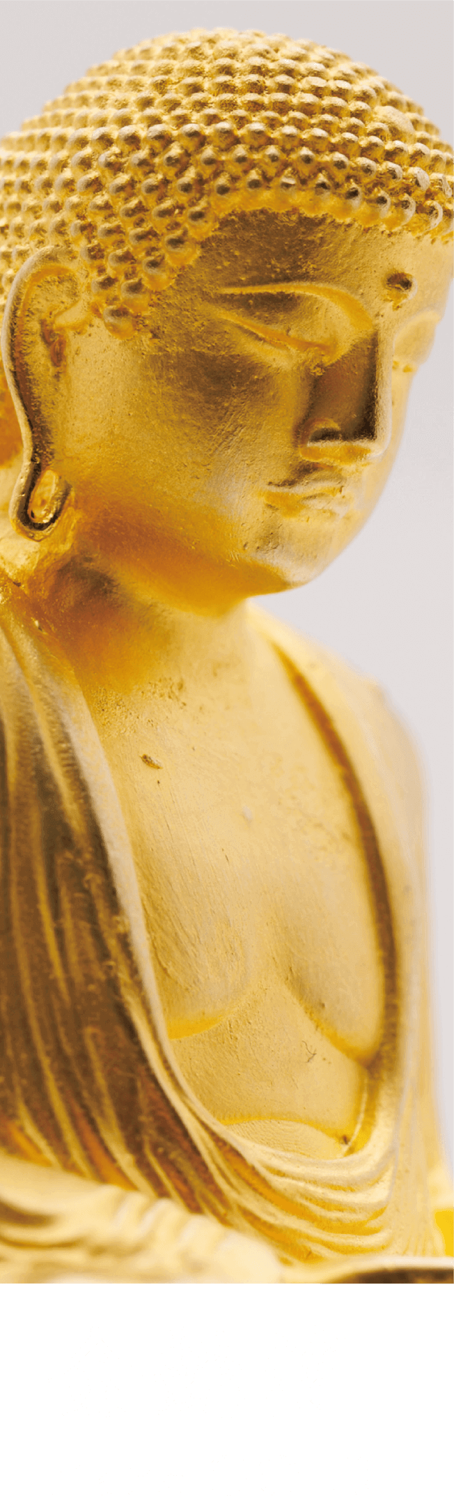 金艶消 Matt GOLD